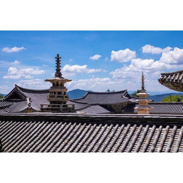 트립앤미 KTX 경주 석굴암 불국사 국립박물관 첨성대