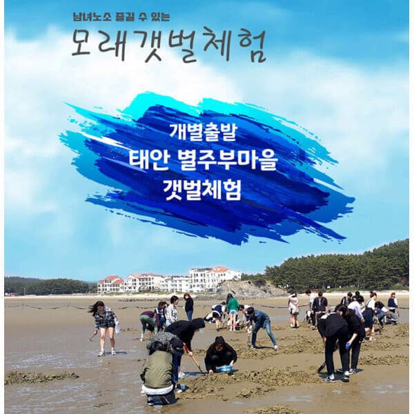 엘에스 컴퍼니 태안 별주부마을 갯벌체험 - 최저가 6,500원
