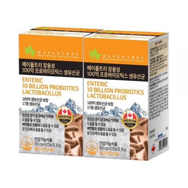 그로스브릿지 메이플트리 장용성 100억 프로바이오틱스 생유산균