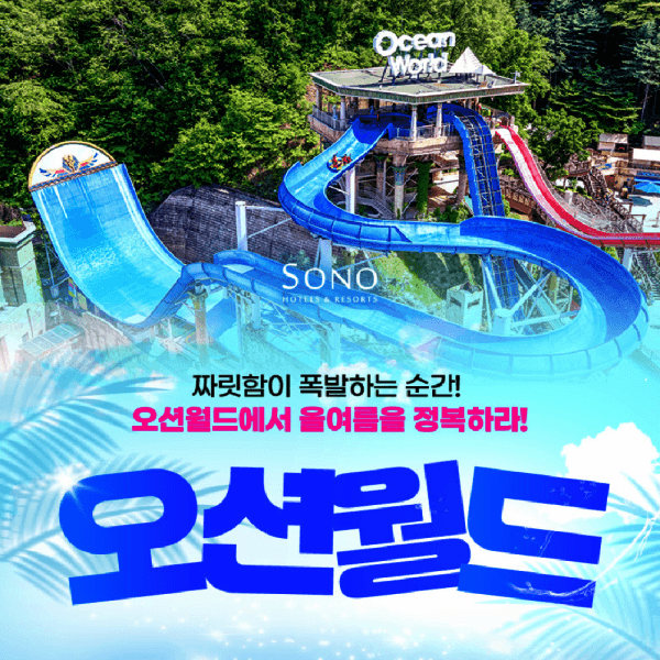 힐팩2 홍천 비발디파크 오션월드 워터파크 입장권