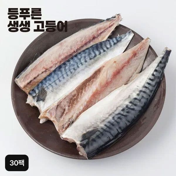 신세계몰 국내산 등푸른 생생 고등어 100g×30팩
