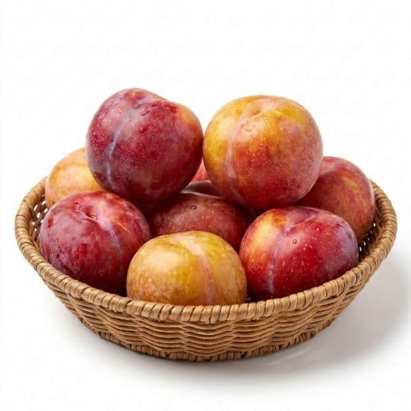 팜보스 국내산 햇자두 생과 4kg (개당 55g~65g)