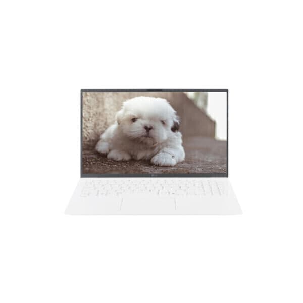 주식회사테크조이 LG전자 그램15 15Z90U-GS5YK SSD 1TB