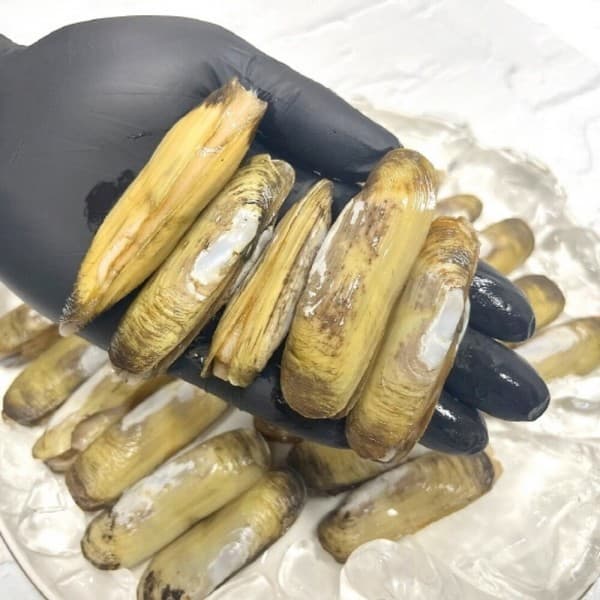 푸뱅 국내산 생물 가리 맛조개 1kg