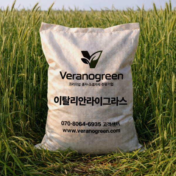 베라노그린 이탈리안 라이그라스 씨앗 10kg 목초용