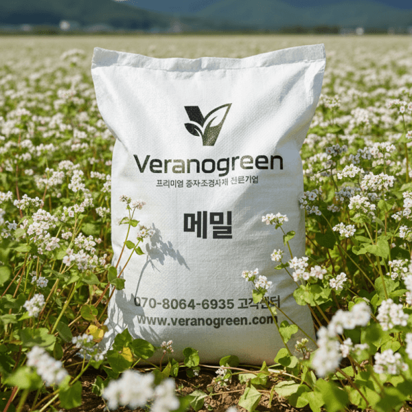 베라노그린 메밀 씨앗 10kg 경관 및 식용 - 최저가 139,500원