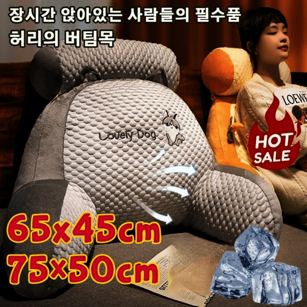 forevergren 기온을 내려주는 허리받침대 아이스 테릴렌 다기능 허리 등쿠션 - 최저가 28,610원