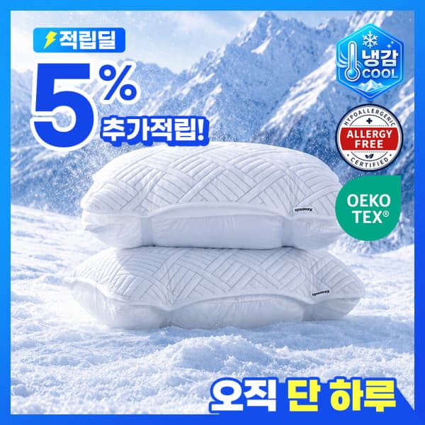 할인바이할인 (26년신상/오코텍스인증) 1P+1P 아이스 쿨텍스 베개커버 냉감소재 밴딩 덧베개 (총 2P) - 최저가 12,400원