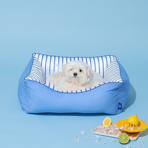 마리오몰_ 모던하우스 펫본 3도씨 커버분리형 슈퍼쿨 사각 범퍼방석 L BLUE