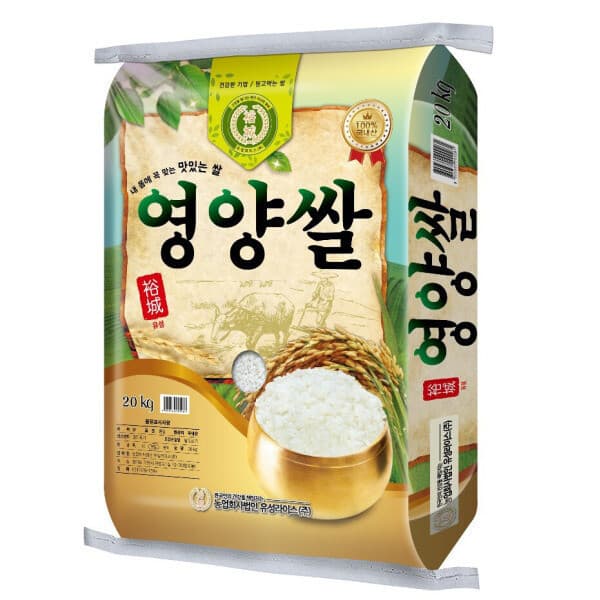 대성라이스쌀집 25년햅쌀 영양쌀 20kg 혼합