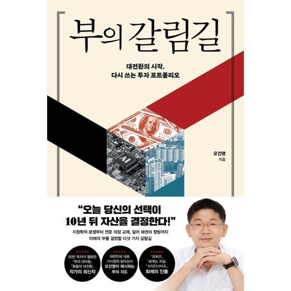 인터넷교보문고 부의 갈림길 대전환의 시작 다시 쓰는 투자 포트폴리오 - 최저가 24,300원