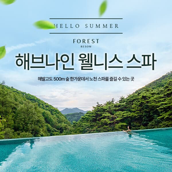 히든티켓 포레스트 리솜 해브나인 웰니스 스파 이용권 - 최저가 35,000원