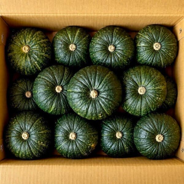 프로프룻 포슬포슬 제주 미니밤호박 10kg A급 17-30과내외 단호박