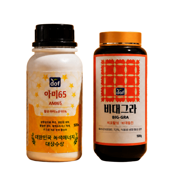 농사왕박사 도프 아미65(500ml) + 비대그라(500g) 고농도 아미노산 과실비대 - 최저가 40,000원