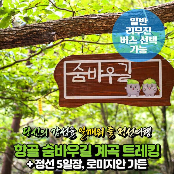 파랑새투어 강원 정선 항골 숨바우길 계곡트레킹 정선5일장 로미지안 가든 당일여행 - 최저가 53,900원