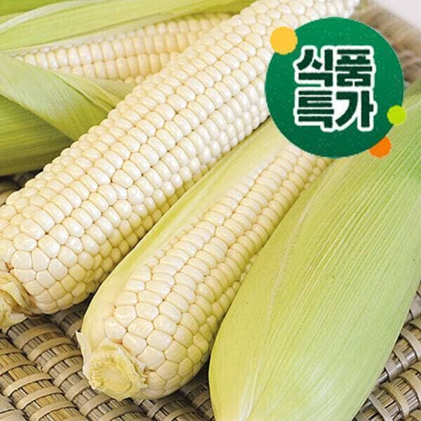 맛꾼푸드 국내산 햇 찰옥수수 괴산 미백 찰옥수수 20개입 17cm이상