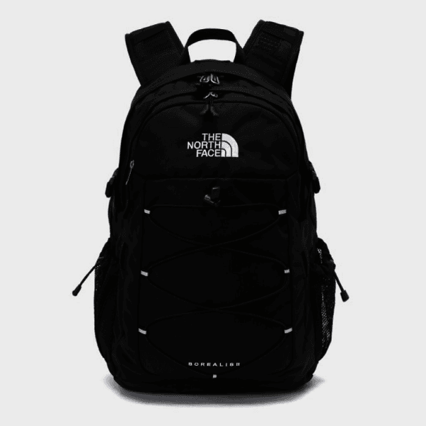 chbixi 노스페이스 보레알레스2 백팩 NM2DP53A - 최저가 90,500원