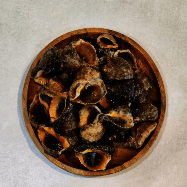 아내의레시피 국내산 횟감 참소라 2kg (1kg+1kg) - 최저가 21,900원