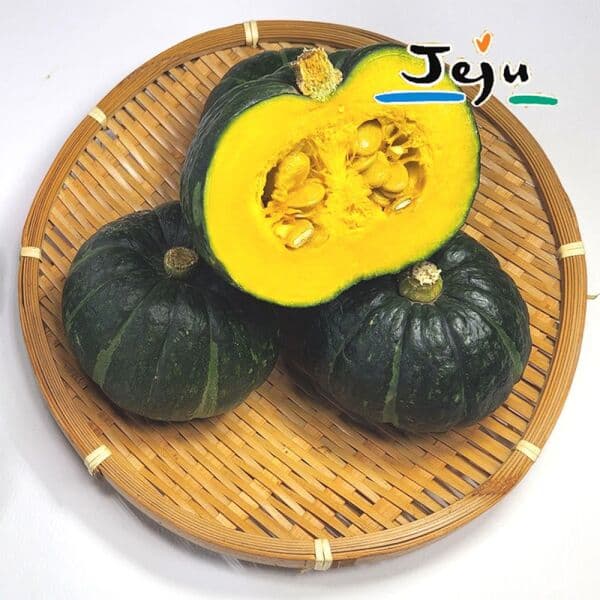 NS홈쇼핑 26년 햇 제주미니밤단호박 8kg