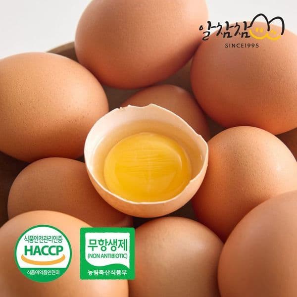 신세계몰 알참참 무항생제 특란 60구 신선한 생란