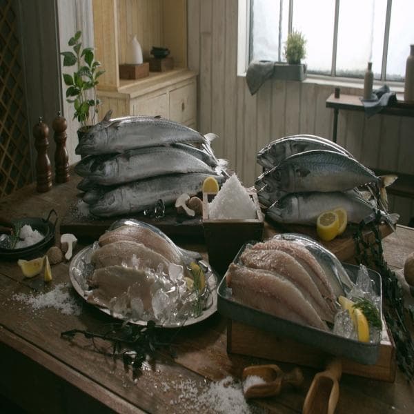 공영쇼핑TV 우리참바다 국내산 고등어 120g 12팩 삼치 150g 10팩 - 최저가 39,900원
