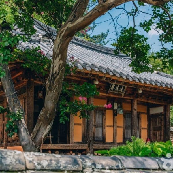 (주)테마캠프 고도에서 만나는 세계유산과 가야문화 고령 1박2일 한옥마을 숙박+별미+체험+1만원상품권+웰컴키트 - 최저가 105,000원