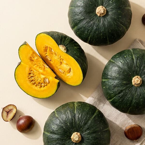 성주꼬마농장 산지직송 제주 미니밤호박 보우짱 혼합 10kg - 최저가 24,500원