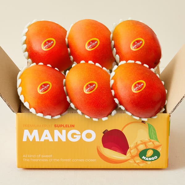 수플린 수플린 고당도 애플망고 2.1kg