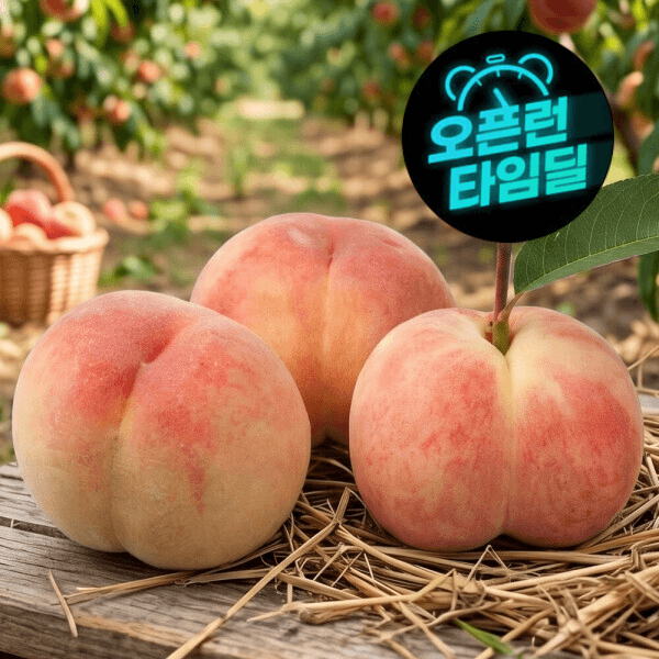농업회사법인일농 반납작 대극천 복숭아 2kg (16~20과) - 최저가 9,990원