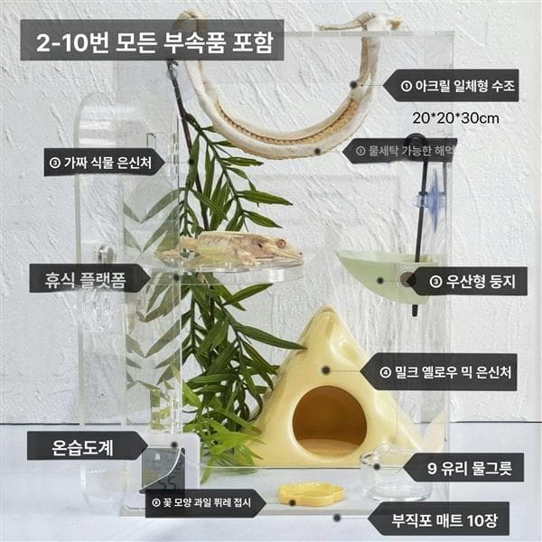 msjua8845 누마 아크릴 도마뱀 사육장 게코 뱀 파충류 키우기세트 올인원 풀패키지 투명 개폐형 - 최저가 25,970원