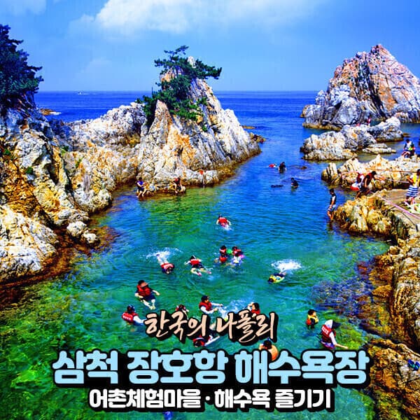 파랑새투어 삼척 장호해수욕장 당일 왕복버스 - 최저가 29,900원
