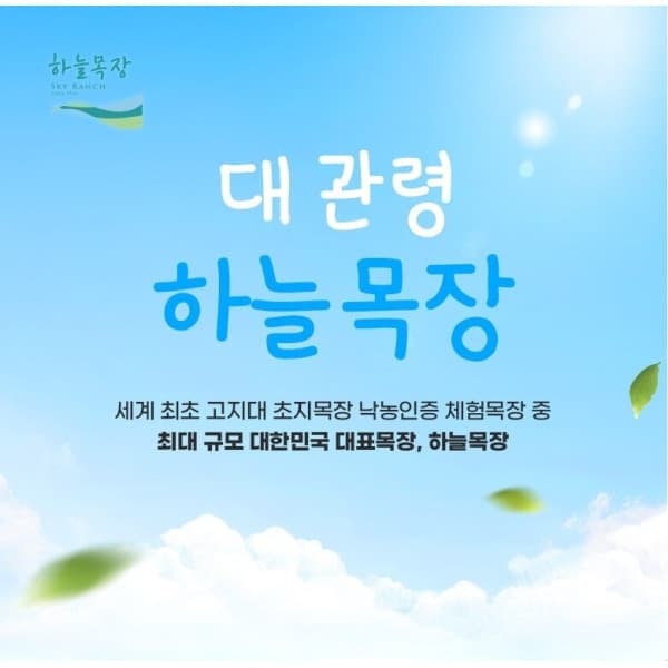 스마트인피니 대관령 하늘목장 입장권 - 최저가 8,000원
