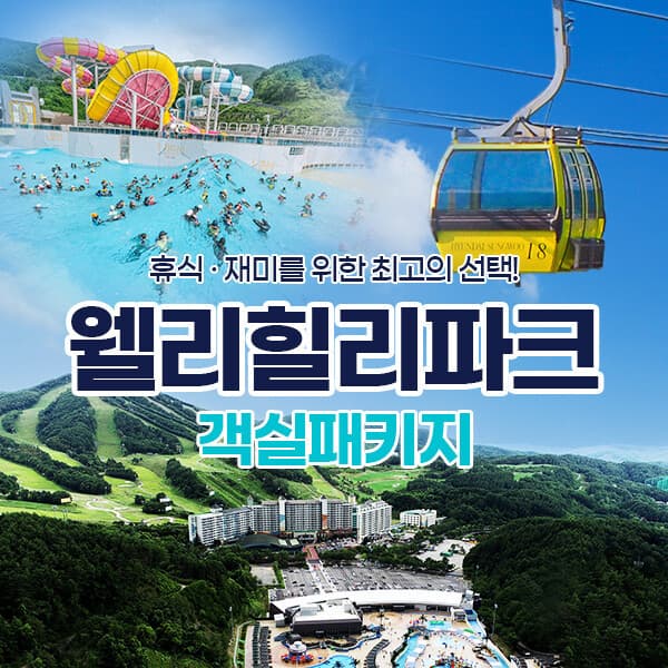 코어티켓 웰리힐리파크 워터파크/야외레포츠 패키지 - 최저가 151,000원