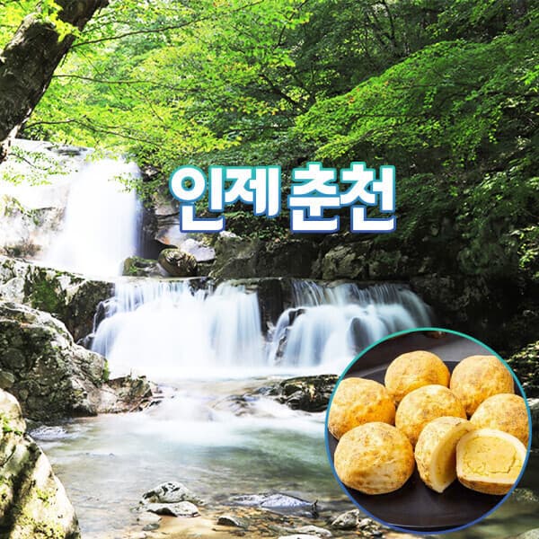 로망스투어 강원 인제춘천당일 자연핫플