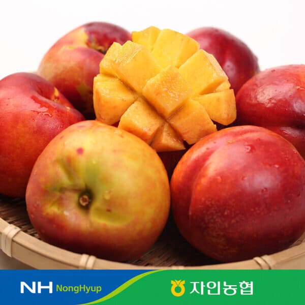 과일산적네 한정특가 망고 복숭아 자인농협 옐로드림 2kg 20~25과 - 최저가 12,960원