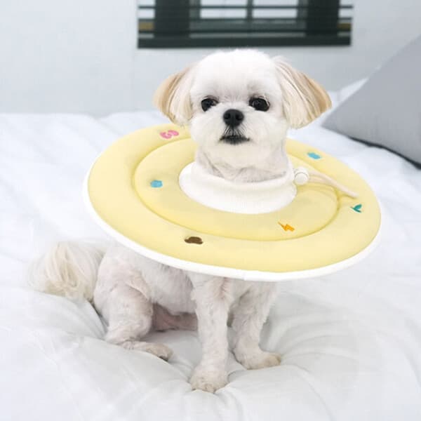 펫피플라이프 패리스독 에스프아 스폰지 넥카라 강아지 고양이 목 보호 쿠션