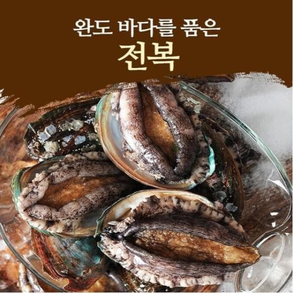 공영쇼핑TV 완도활전복 대왕특대 110g 15마리