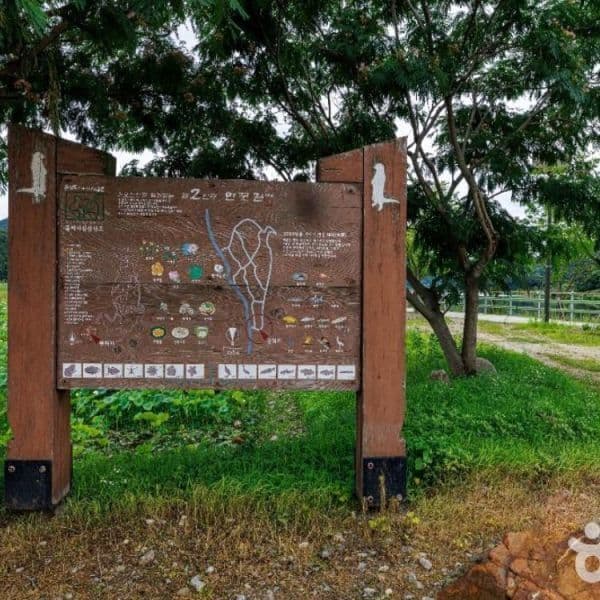 (주)테마캠프 화천군DMZ 평화의 길 걷기 평화관광 당일여행 산소길 야생화트레킹 거례리수목공원 평화의댐 - 최저가 14,900원