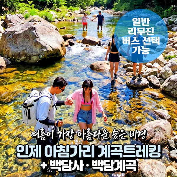 파랑새투어 강원 인제 아침가리 계곡트레킹 백담사 당일여행 - 최저가 29,900원