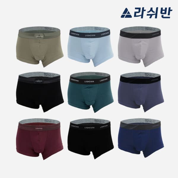 라쉬반코리아 라쉬반 네이처 에어브리즈스톤 9종 - 최저가 149,000원