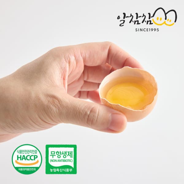 알참참 알참참 무항생제 초란 60구 HACCP인증