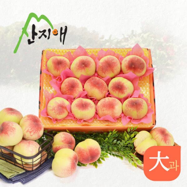 GS_SHOP_TV 산지애 햇복숭아 3kg