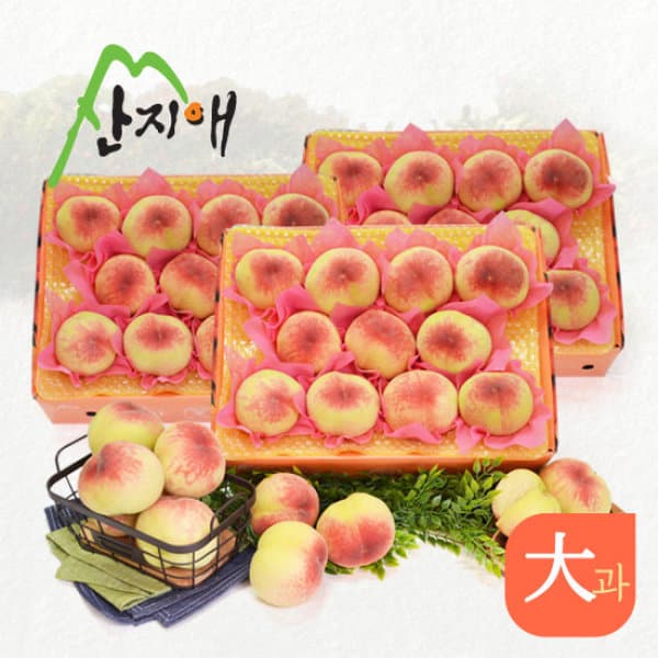 GS_SHOP_TV 산지애 아삭아삭 햇복숭아 9kg
