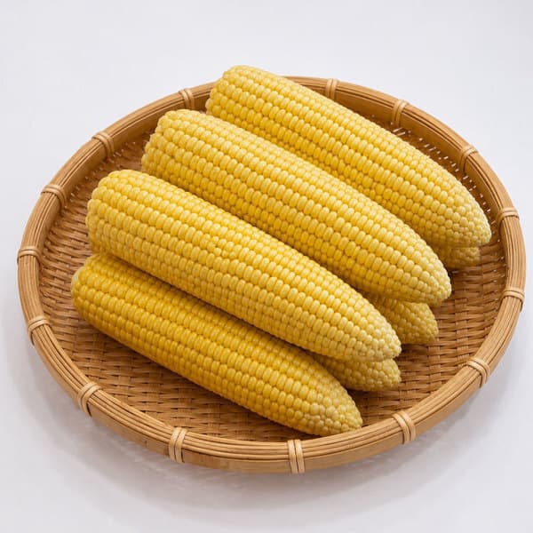 주식회사제이엘(JL) 전주 초당옥수수 특품 10개 20개 15~16cm이상 고당도 제철 산지 직송 - 최저가 17,200원