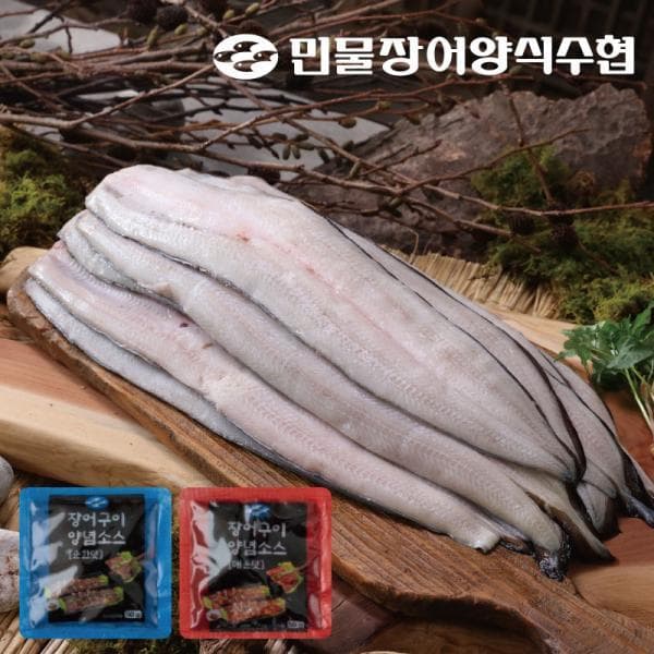 공영쇼핑TV 손질 민물장어 1kg(3마리)+고추장소스 2봉+간장소스 2봉