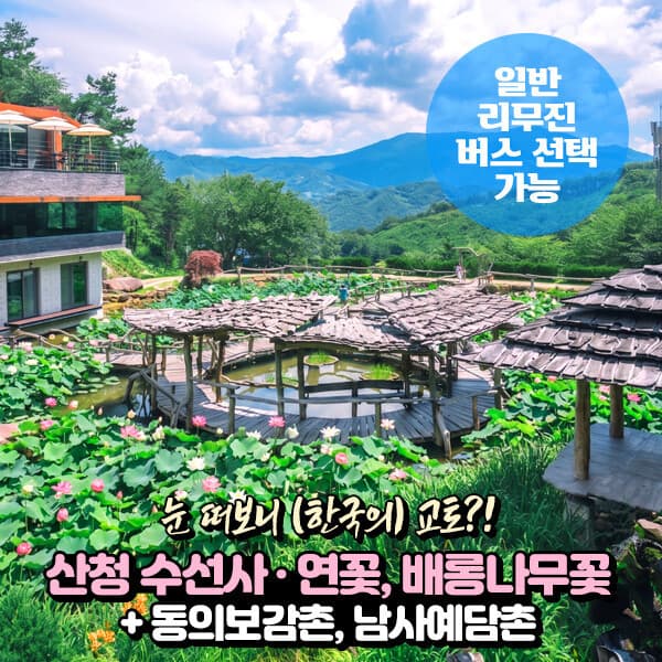 파랑새투어 산청 수선사 연꽃+동의보감촌무릉교 출렁다리+남사예담촌 당일여행 (일반/리무진 선택) - 최저가 41,900원
