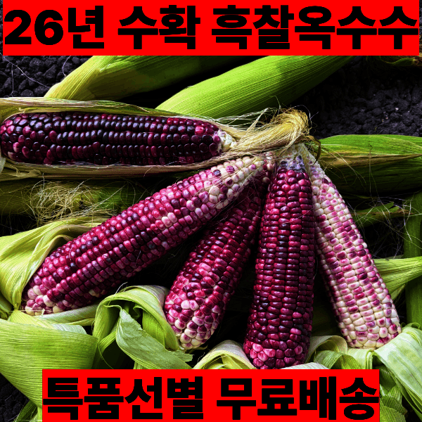청과상회 국내산 제철 햇 흑찰옥수수 특품 20개 - 최저가 16,900원