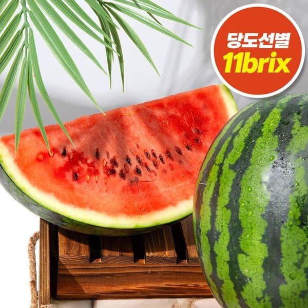 신세계몰 제철가득 당도선별 정품 수박 7kg-10kg