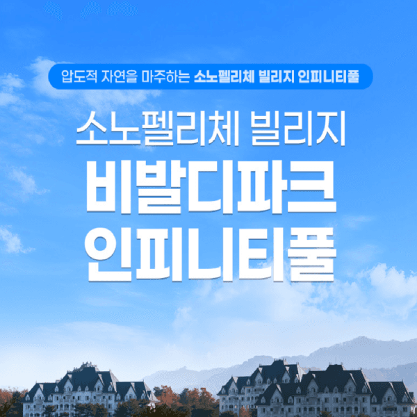 스마트인피니 비발디파크 소노펠리체 인피니티풀 입장권 - 최저가 29,000원