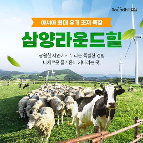 놀유니버스일 대관령 삼양 라운드힐 입장권 - 최저가 8,200원